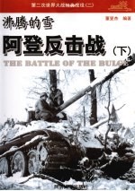 沸腾的雪:阿登反击战 下