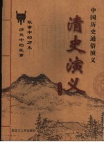 中国历史通俗演义 清史演义
