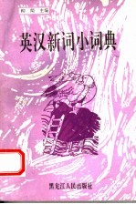 英汉新词小词典