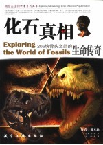 化石真相 206块骨头之外的生命传奇