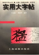 实用大字帖 北魏《张猛龙碑》选字本