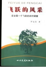 飞跃的风采 农业第一个飞跃的农村调查