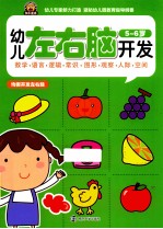 幼儿左右脑开发 5-6岁