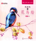 色铅笔之花鸟绘
