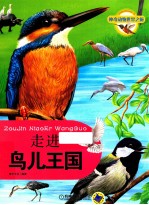 走进鸟儿王国
