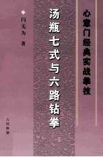 汤瓶七式与六路钻拳 心意门经典实战拳技