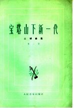 宝塔山下新一代 二胡曲选 第2集