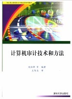 计算机审计技术和方法