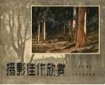 摄影佳作欣赏