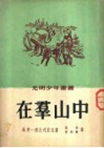 在群山中