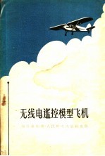 无线电遥控模型飞机