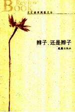辫子，还是辫子