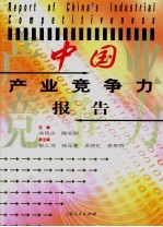 中国产业竞争力报告