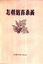 怎样培育桑苗
