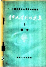 青年文学创作选集