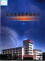 走向市场的中国电力:画册 下