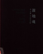 宋士操山水作品集 湿地魂