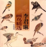 李君琳画鸟精选