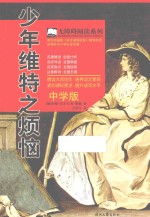 少年维特之烦恼 中学版