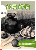 笔画教学 经典静物