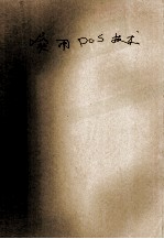 实用DOS技术 第2版