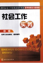 2013社会工作者职业水平考试备考精要及习题精练 社会工作实务 中级