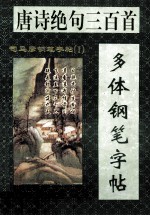 唐诗绝句三百首多体钢笔字帖