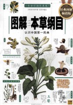图解本草纲目 经典图解畅销版 白话彩插经典版