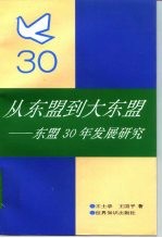从东盟到大东盟  东盟30年发展研究