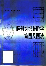 解剖组织胚胎学简图及画法