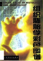 组织胚胎学彩色图谱