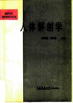 人体解剖学