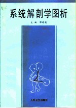 系统解剖学图析