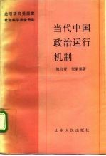 当代中国政治运行机制