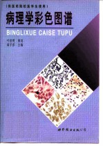 病理学彩色图谱