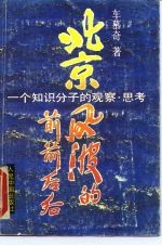 北京风波的前前后后 一个知识分子的观察·思考