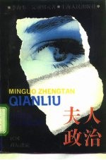 夫人政治 民国政坛潜流