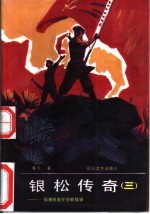 银松传奇 3 一位将军青少年的故事