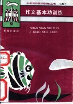 作文基本功训练