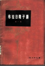 布拉日隆子爵 第1卷