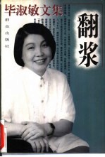 毕淑敏文集 翻浆