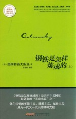 新课标 课外经典阅读丛书 钢铁是怎样炼成的 上