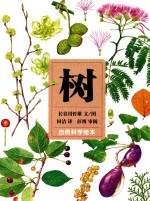 自然科学绘本 树