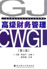 高级财务管理 第3版