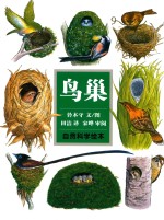 自然科学绘本 鸟巢