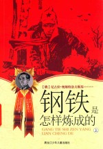钢铁是怎样炼成的 上