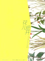 花儿绘开 花卉经典彩铅手绘图解