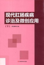 现代肛肠疾病诊治及微创应用 下