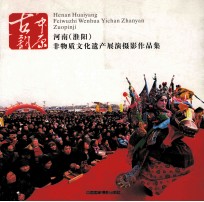 中原古韵 河南(淮阳)非物质文化遗产展演摄影作品集