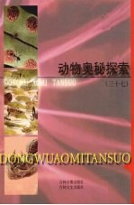 动物奥秘探索 37